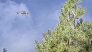 Φωτιά στην Κυπαρισσία: Μεγάλη κινητοποίηση για την πυρκαγιά στον Άγιο Βασίλη Κορινθίας