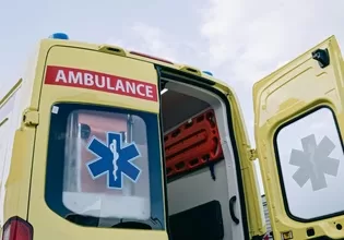 Τραγωδία στην Εύβοια: 64χρονος πέθανε έπειτα από τσίμπημα σφήκας