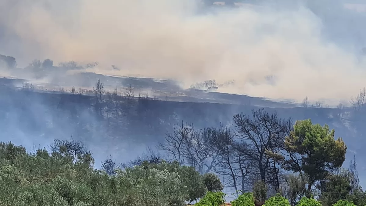 Υπό έλεγχο η φωτιά στο Σπαθοβούνι Κορινθίας: Η μάχη της πυροσβεστικής