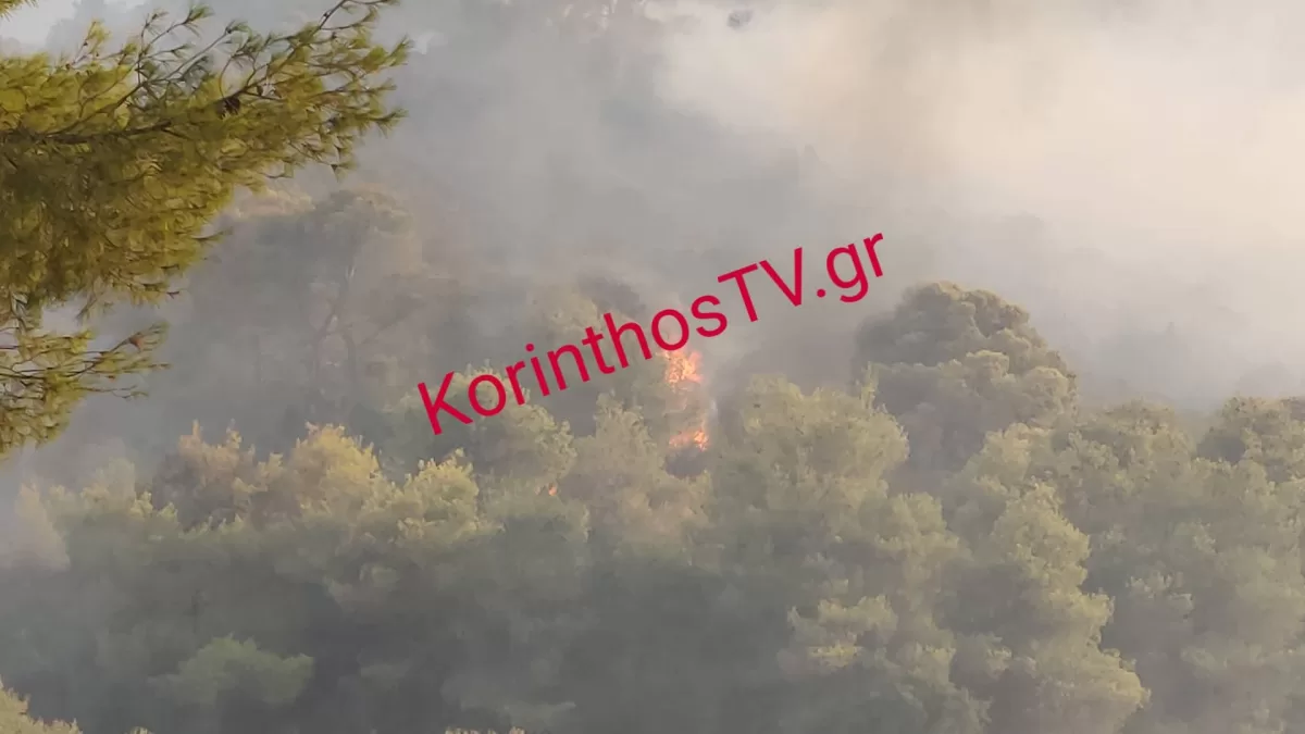 Υπό έλεγχο η φωτιά στο Σπαθοβούνι Κορινθίας: Η μάχη της πυροσβεστικής