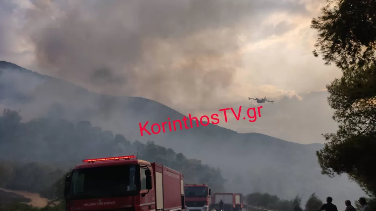 Υπό έλεγχο η φωτιά στο Σπαθοβούνι Κορινθίας: Η μάχη της πυροσβεστικής