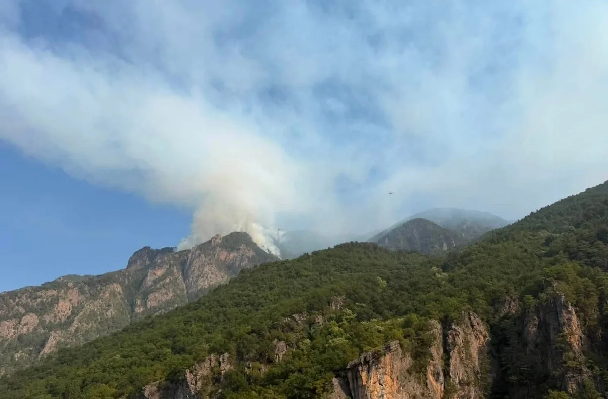 Φωτιά στην Τραπεζίτσα Κόνιτσας: Μεγάλη μάχη με τις φλόγες από ισχυρές δυνάμεις - Φωτογραφία 1